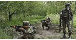 WhatsApp Image 2025-01-05 at 11.33.04 AM