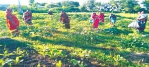 स्वसहायता