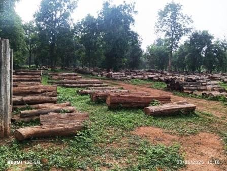 सुदूर अंचल में वन विभाग की ऐतिहासिक पहल, कूप कटाई और वन संसाधनों से ग्रामीणों को मिला नया सहारा