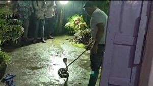 WhatsApp Image 2025-08-23 at 12.01.03 PM