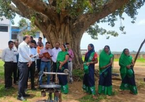 कालेक्ट