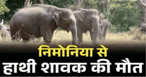 निमोनिया