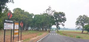 1760105589_d26a8a6d3b21929be56b