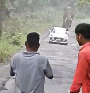 20251012162058_sadak pr hathi