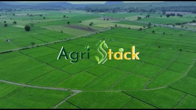 agree stake