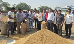 20251115123308_dhaan