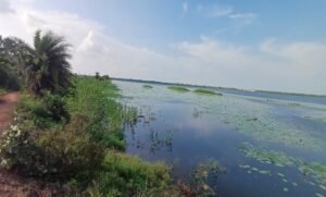 20251121130014_jalashay