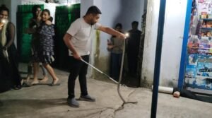 WhatsApp Image 2025-11-02 at 11.09.50 AM