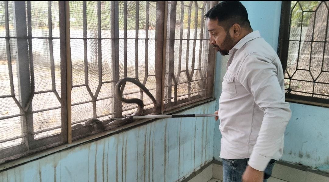 WhatsApp Image 2025-11-06 at 2.52.40 PM