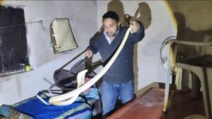 IMG-20260103-WA0009-860x484