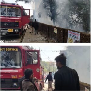 WhatsApp Image 2026-01-10 at 1.55.59 PM